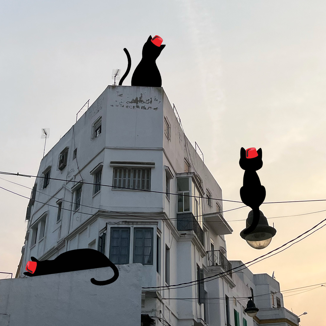 coffee and-coffee-beans