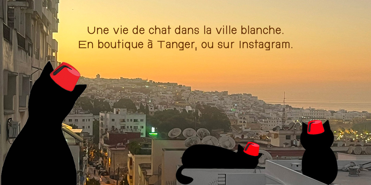 Le Chat Tanjaoui – Boutique Rue Velasquez
