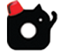 Minou, le chat tanjaoui