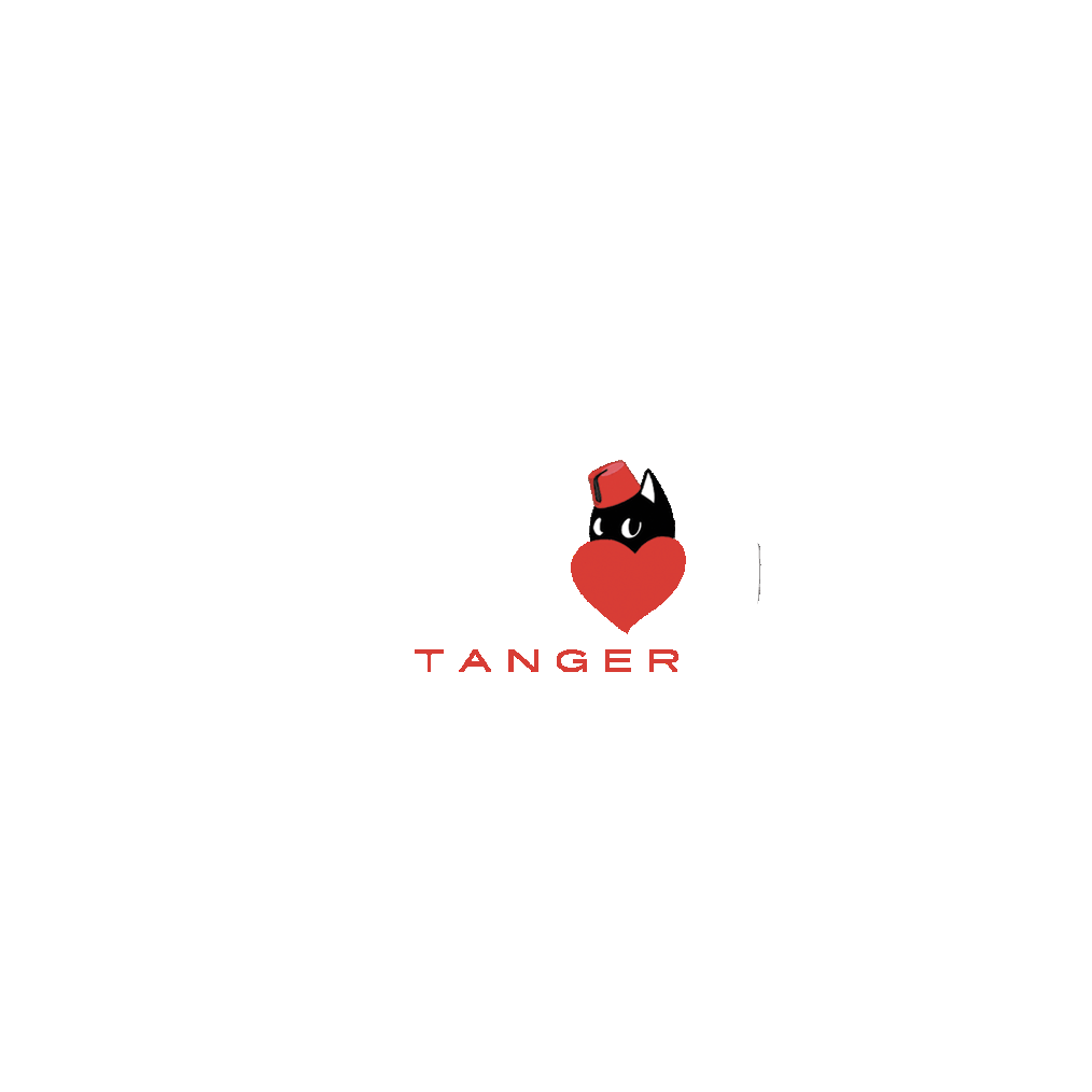 Minou, le chat tanjaoui, mascotte de Tanger